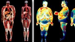 Быстрое похудение в области живота: методы и их применение